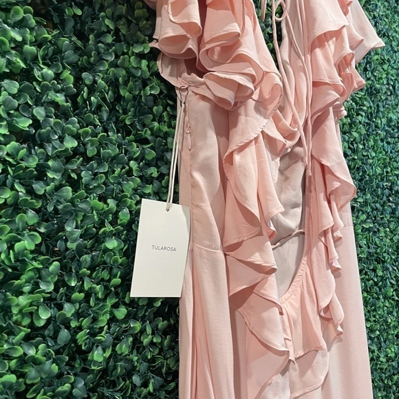 NWT Tularosa Selma Maxi Dress in Blush - Picture 10 of 10